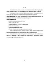 Biznesa plāns 'Biznesa plāns SPA salonam', 5.