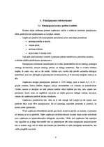 Biznesa plāns 'Biznesa plāns SPA salonam', 10.