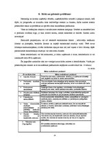 Biznesa plāns 'Biznesa plāns SPA salonam', 26.