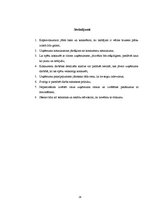 Biznesa plāns 'Biznesa plāns SPA salonam', 28.