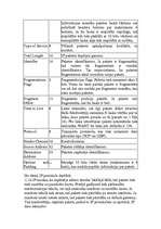 Konspekts 'Datortīklu protokoli', 5.