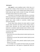 Prakses atskaite 'Prakses darbs a/s "Parex Banka"', 31.