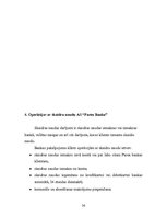 Prakses atskaite 'Prakses darbs a/s "Parex Banka"', 36.