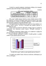 Diplomdarbs 'Muitas noliktavas darbības pilnveidošana', 45.