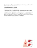 Konspekts 'Visas vajadzīgās zināšanas par aknām', 2.