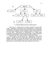 Referāts 'Harmonizētā preču sistēma', 14.