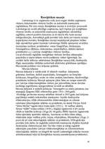 Referāts 'Elektroenerģija', 16.