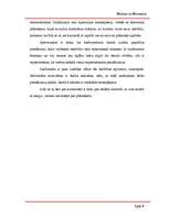 Referāts 'Revīzija un kontrole - iekšējās kontroles novērtēšana', 6.