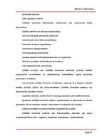 Referāts 'Revīzija un kontrole - iekšējās kontroles novērtēšana', 10.