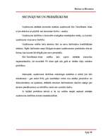 Referāts 'Revīzija un kontrole - iekšējās kontroles novērtēšana', 11.