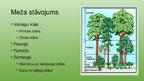 Prezentācija 'Mērenās joslas meži', 7.