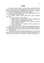 Referāts 'Segmentēšanas veidi un metodes', 3.