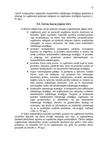 Referāts 'Segmentēšanas veidi un metodes', 13.