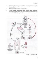 Konspekts 'CNS toksoplazmoze', 2.