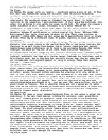 Eseja 'The Australian Rainforest (spaces for pictures/diagrams)', 4.