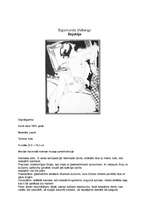 Konspekts 'Latvijas Nacionālais mākslas muzejs. Sigismunda Vidberga darbs "Dejotāja"', 2.