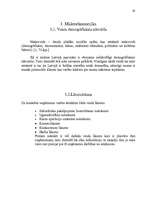 Referāts 'Kafejnīca "Nīcava"', 20.