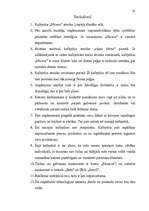 Referāts 'Kafejnīca "Nīcava"', 22.