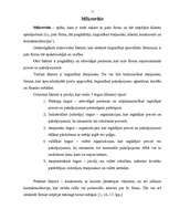 Referāts 'Uzņēmuma mārketinga analīze', 11.