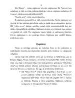 Referāts 'Uzņēmuma mārketinga analīze', 15.