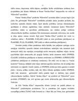 Referāts 'Uzņēmuma mārketinga analīze', 17.