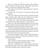 Referāts 'Uzņēmuma mārketinga analīze', 19.