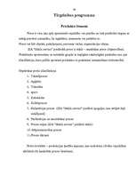 Referāts 'Uzņēmuma mārketinga analīze', 29.