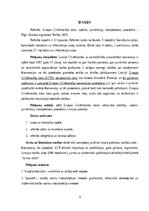 Referāts 'Starptautisko tiesu jurisdikcija
Eiropas Cilvēktiesību tiesa: uzbūve, jurisdikc', 3.