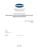Biznesa plāns 'Bioloģisko gaļas liellopu audzēšana un gaļas produkcijas ražošana', 1.