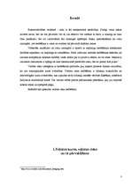 Referāts 'Valūtas termiņdarījumu izmantošana hedžēšanai', 3.