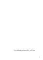 Referāts 'Valūtas termiņdarījumu izmantošana hedžēšanai', 6.