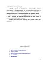 Referāts 'Valūtas termiņdarījumu izmantošana hedžēšanai', 13.