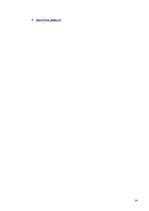 Referāts 'Valūtas termiņdarījumu izmantošana hedžēšanai', 14.