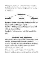 Referāts 'Ekosistēmas izpēte', 9.