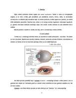 Referāts 'Cilvēka maņas', 4.