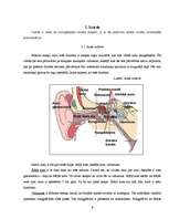 Referāts 'Cilvēka maņas', 9.
