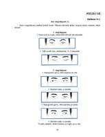 Referāts 'Cilvēka maņas', 30.