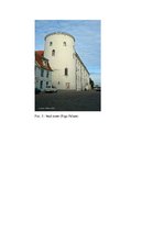 Konspekts 'Rīgas pils arhitektūra', 8.