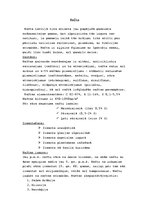 Konspekts 'Nafta', 1.