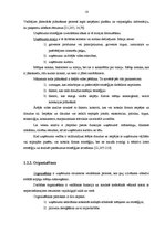 Diplomdarbs 'Uzņēmuma "N" vadīšanas stili un to tālākas pilnveidošanas iespējas', 16.