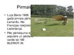 Prezentācija 'Aviācija 19.gadsimtā', 10.