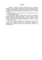 Referāts 'Stratēģiskā plānošana', 3.