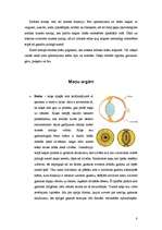 Referāts 'Kaķi', 8.