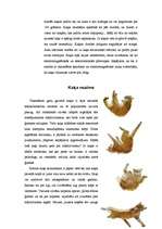 Referāts 'Kaķi', 10.