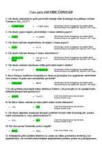 Konspekts 'Vides spēle "Jautrie čāpotāji"', 1.