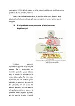 Referāts 'Uztura bagātinātāju ietekme uz cilvēka veselību', 9.