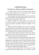 Referāts 'Produkcijas kvalitātes pilnveidošana ražošanas procesā uzņēmumā a/s "Jelgavas ma', 20.