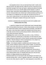 Referāts 'Ģeogrāfiskie atklājumi', 9.