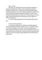 Referāts 'Ģeogrāfiskie atklājumi', 12.