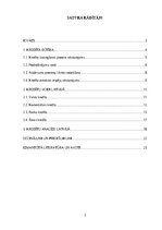 Referāts 'Kredītu veidu struktūra un analīze Latvijas tirgū', 2.